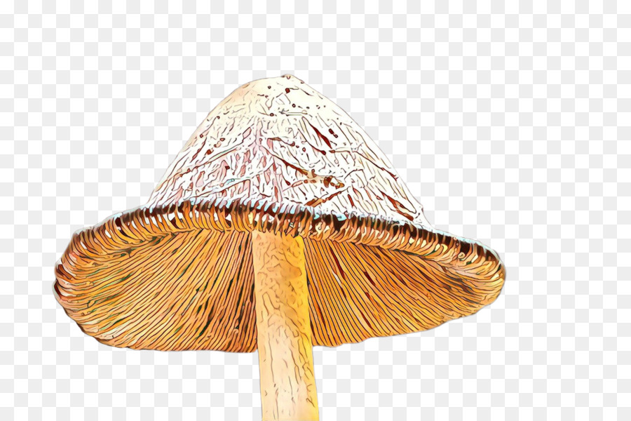 Champignons，Parapluie PNG