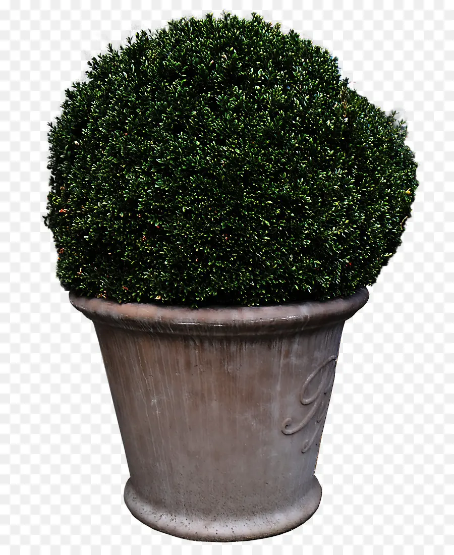 Flowerpot，L'herbe PNG