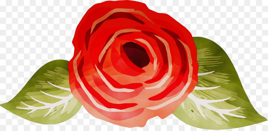 Rose Rouge，Floraison PNG