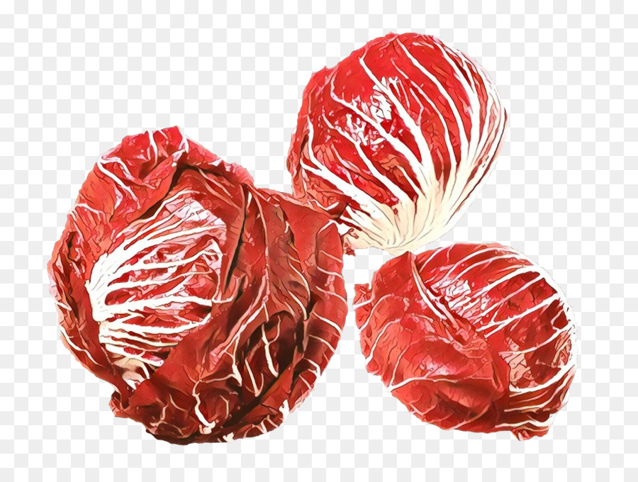 Radicchio，Feuillu PNG