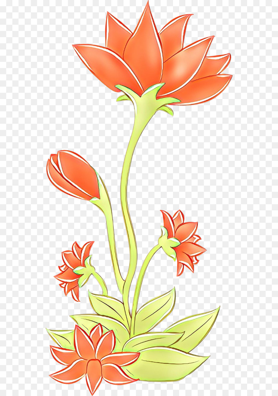 Fleur，Plante PNG