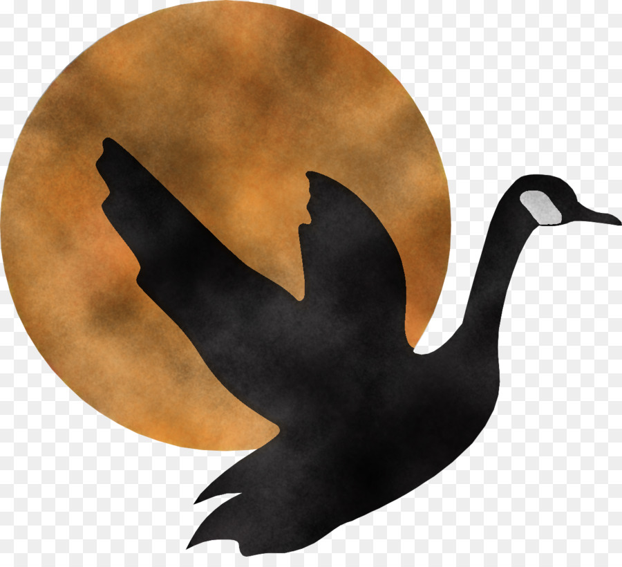 Oiseau，Les Oiseaux D'eau PNG