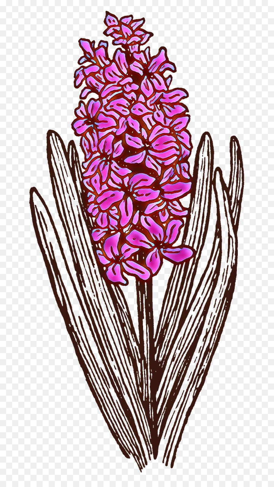 Fleur，Plante PNG