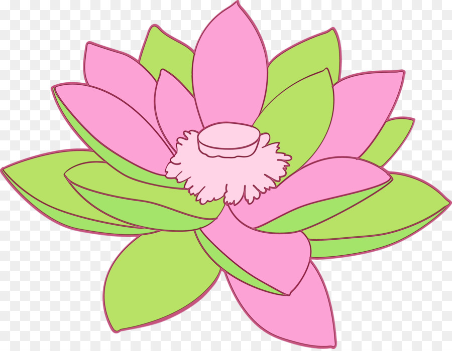 Fleur Rose，Floraison PNG