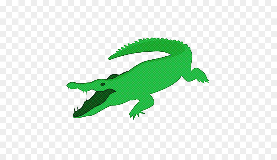 Iguane Vert，Lézard PNG