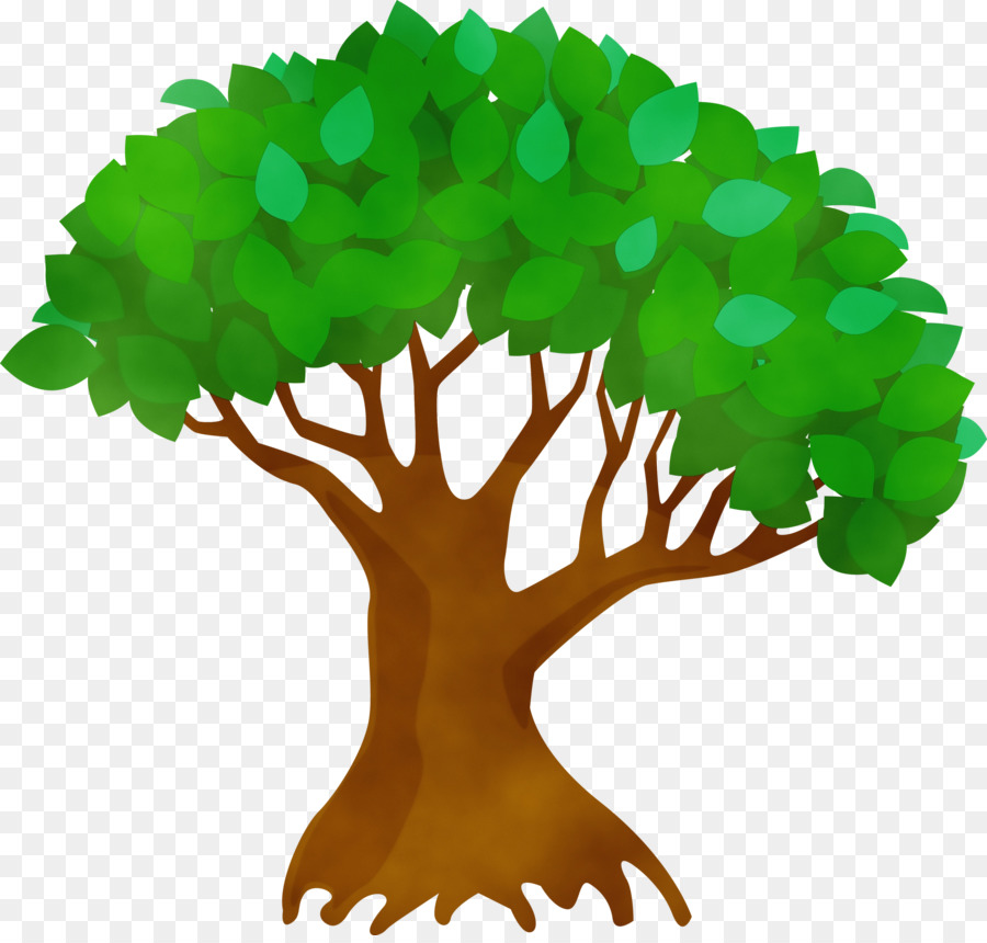 Arbre，Vert PNG