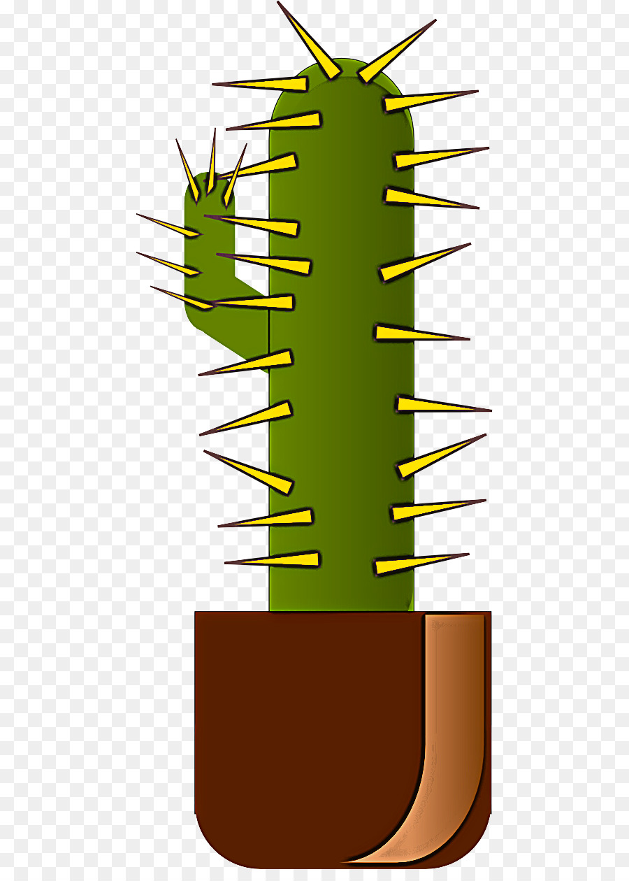 Cactus，Succulent PNG