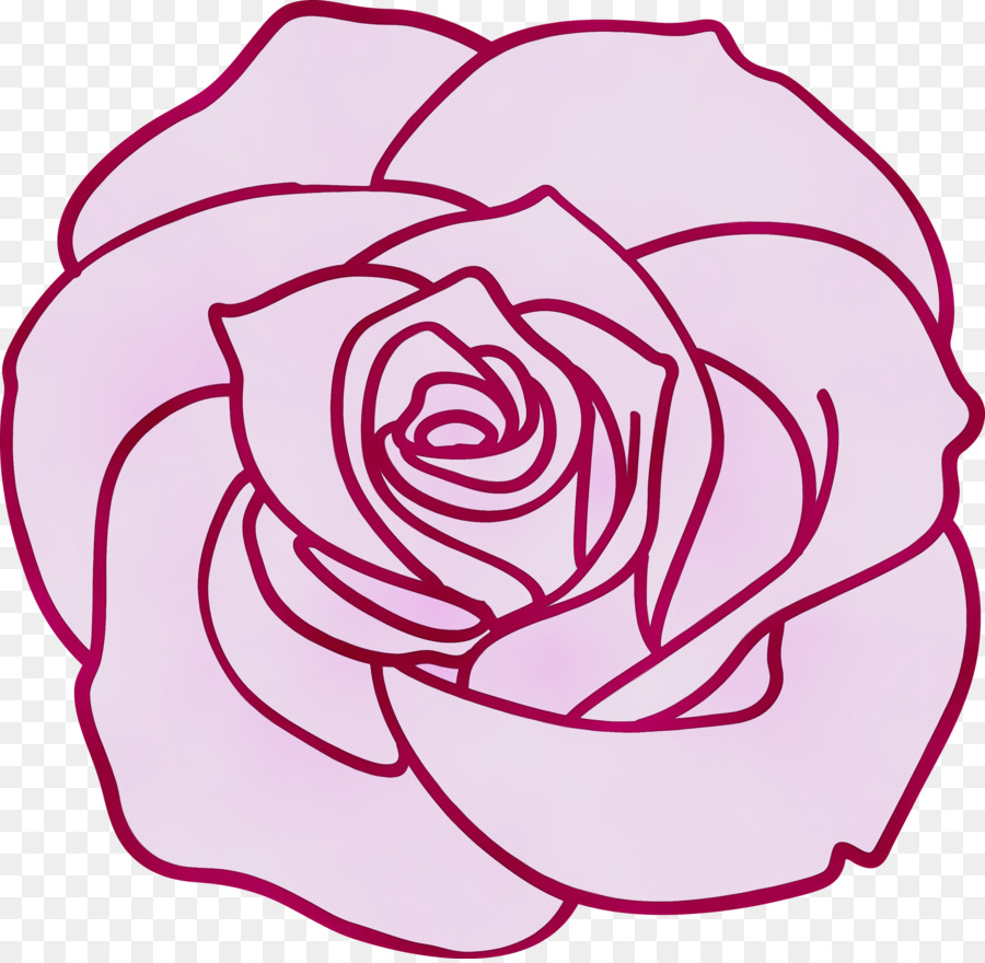 Rose，Les Roses De Jardin PNG