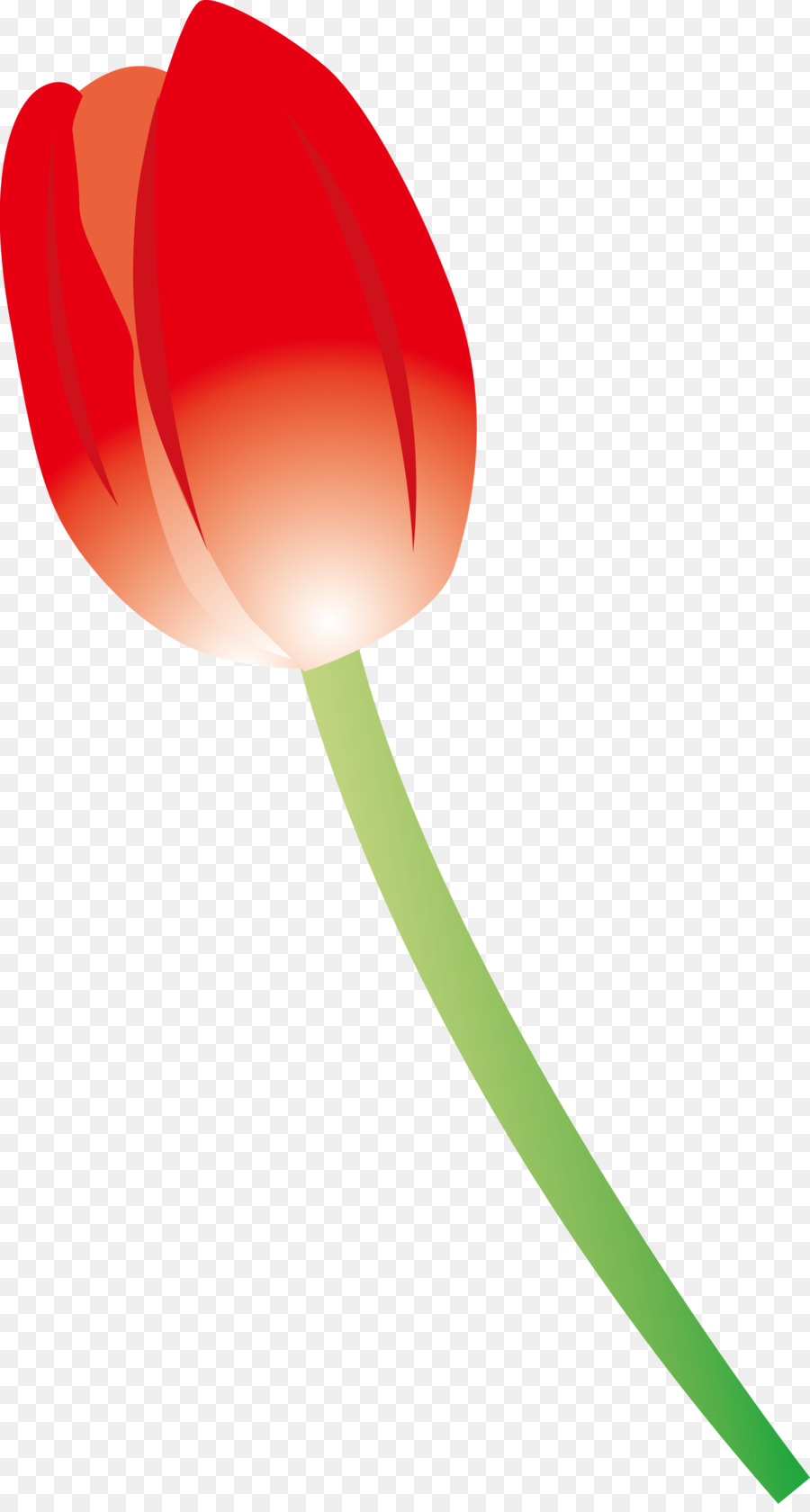 Rouge，Tulip PNG