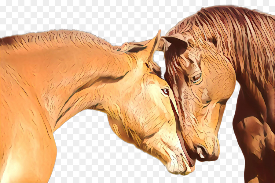 Cheval，Cheveux PNG