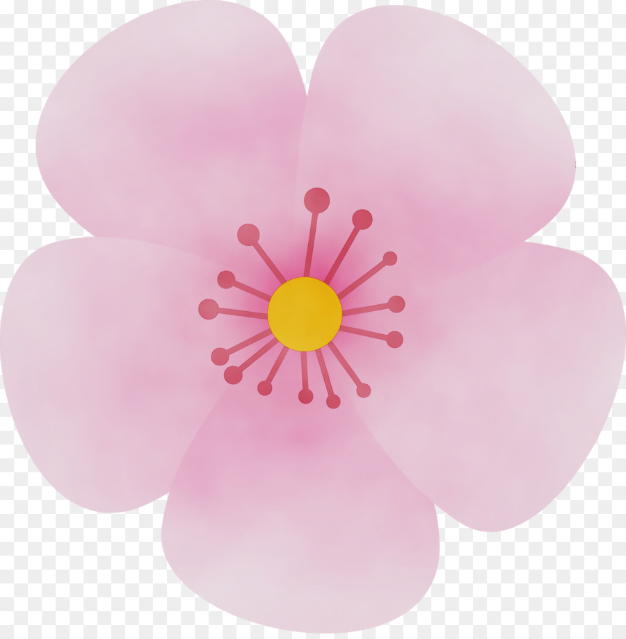 Pétale，Rose PNG