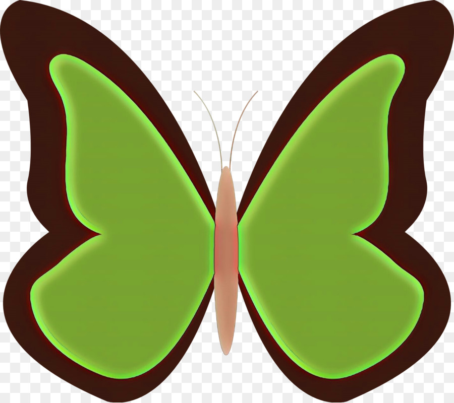 Papillon Vert，Insecte PNG