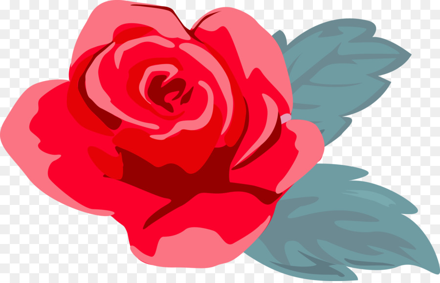 Roses，Floraison PNG