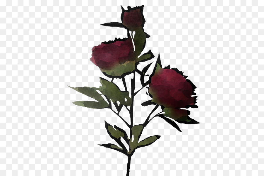 Rose Rouge，Bourgeon PNG