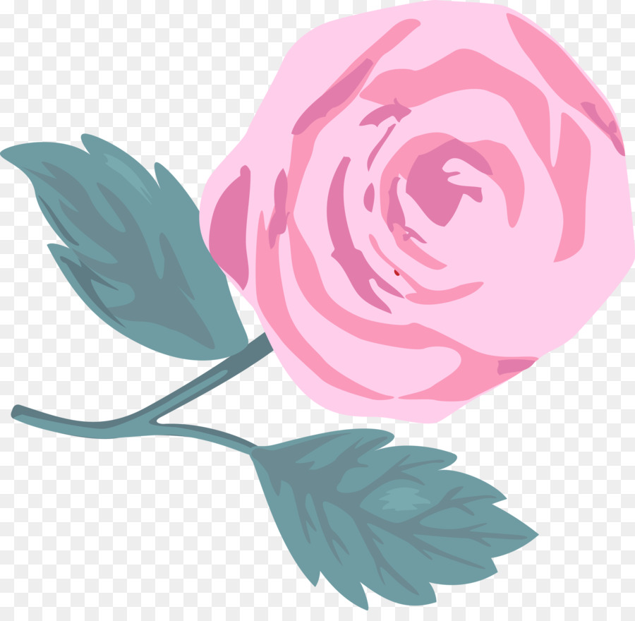 Roses，Floraison PNG