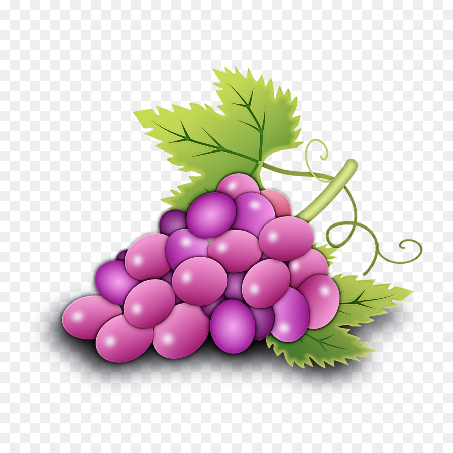 Raisins Violets，Feuilles PNG