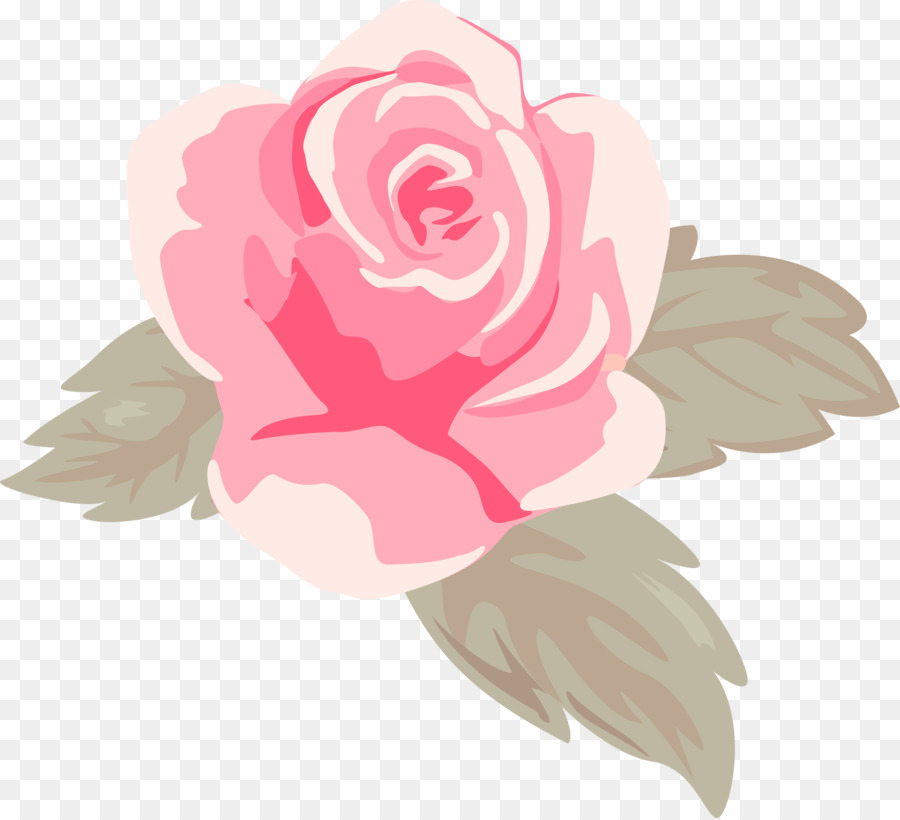 Roses，Floraison PNG