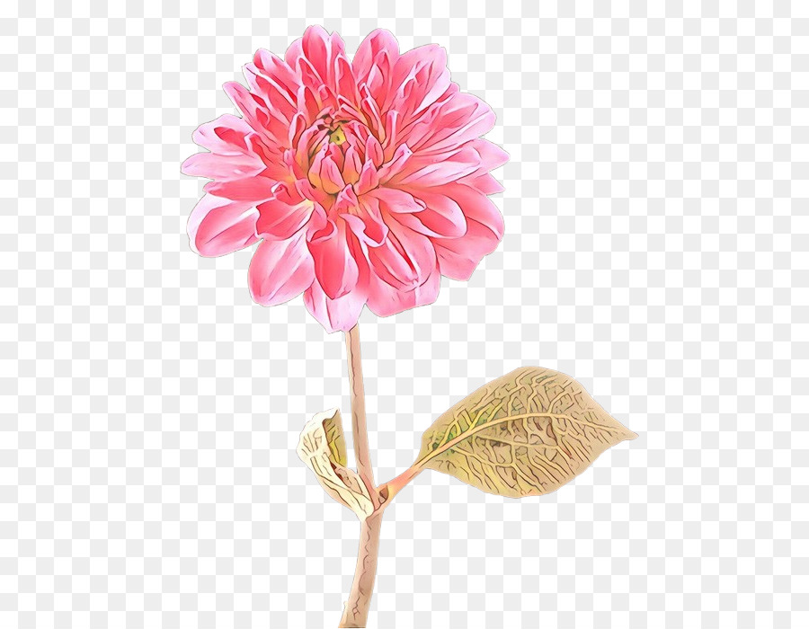 Fleur，Rose PNG