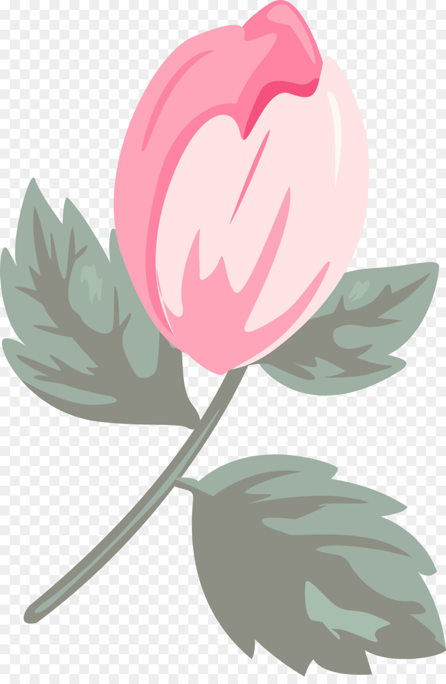 Rose，Feuille PNG