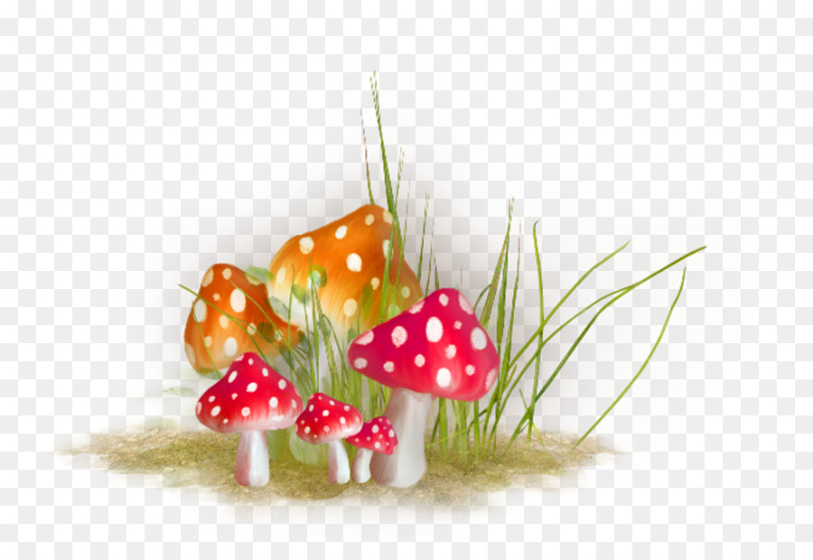 Champignons，Herbe PNG