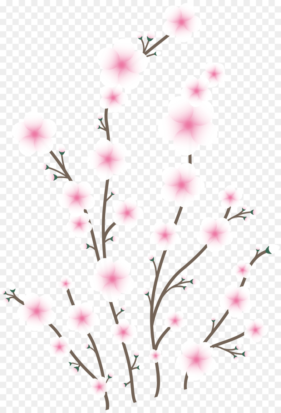 Rose，Branche PNG