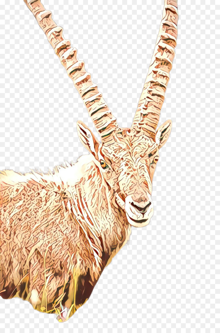 Antilope，Chèvres PNG