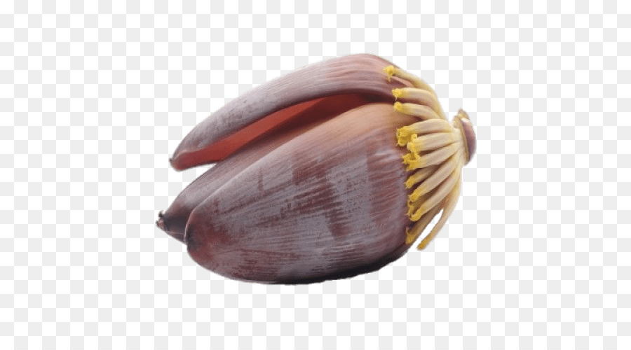 Légumes，Plante PNG