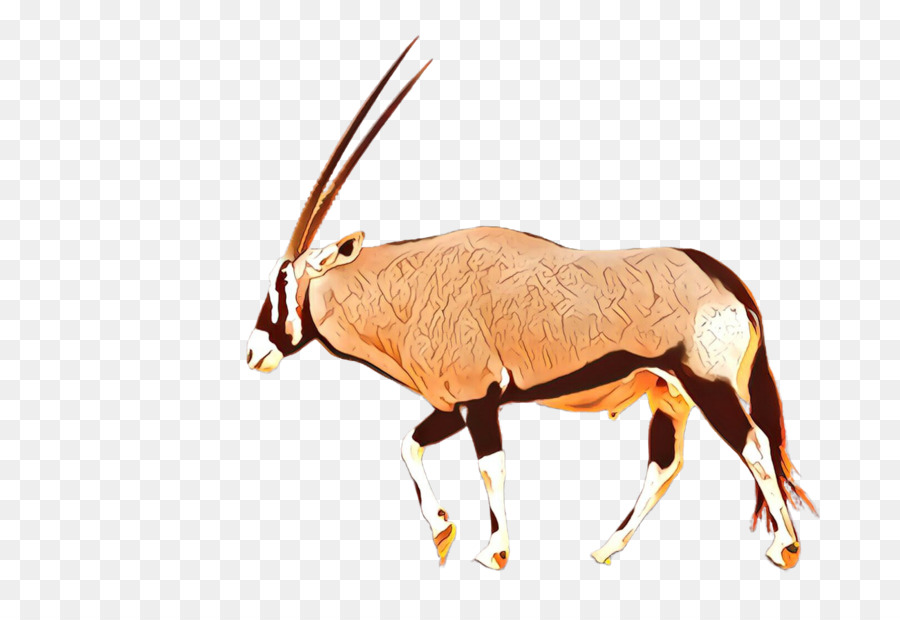 L'antilope，Oryx PNG