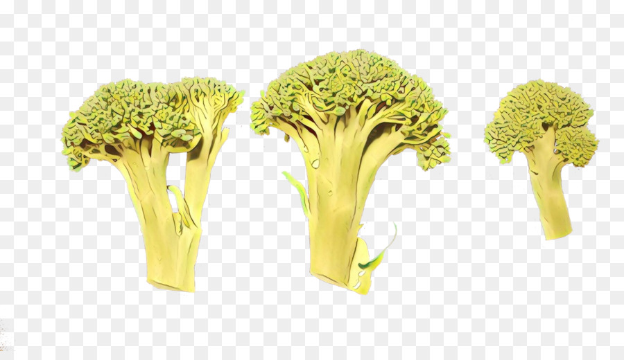 Brocoli，Vert PNG