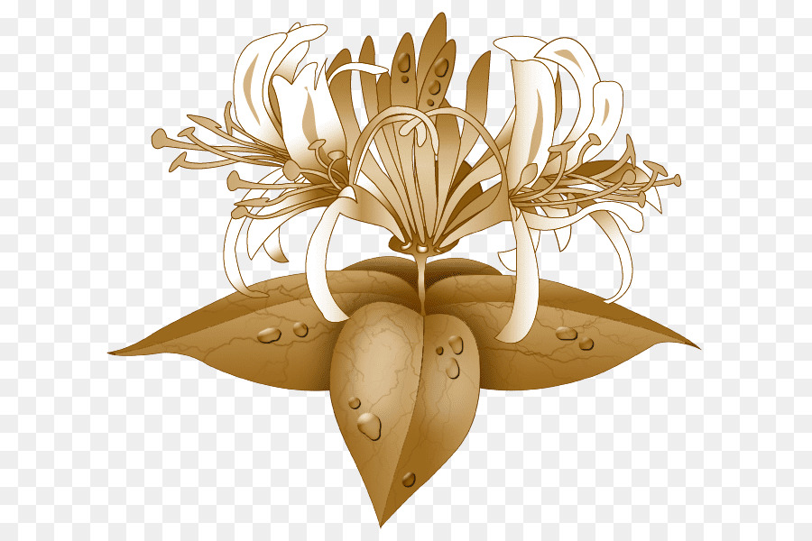 Fleur，Fleurir PNG