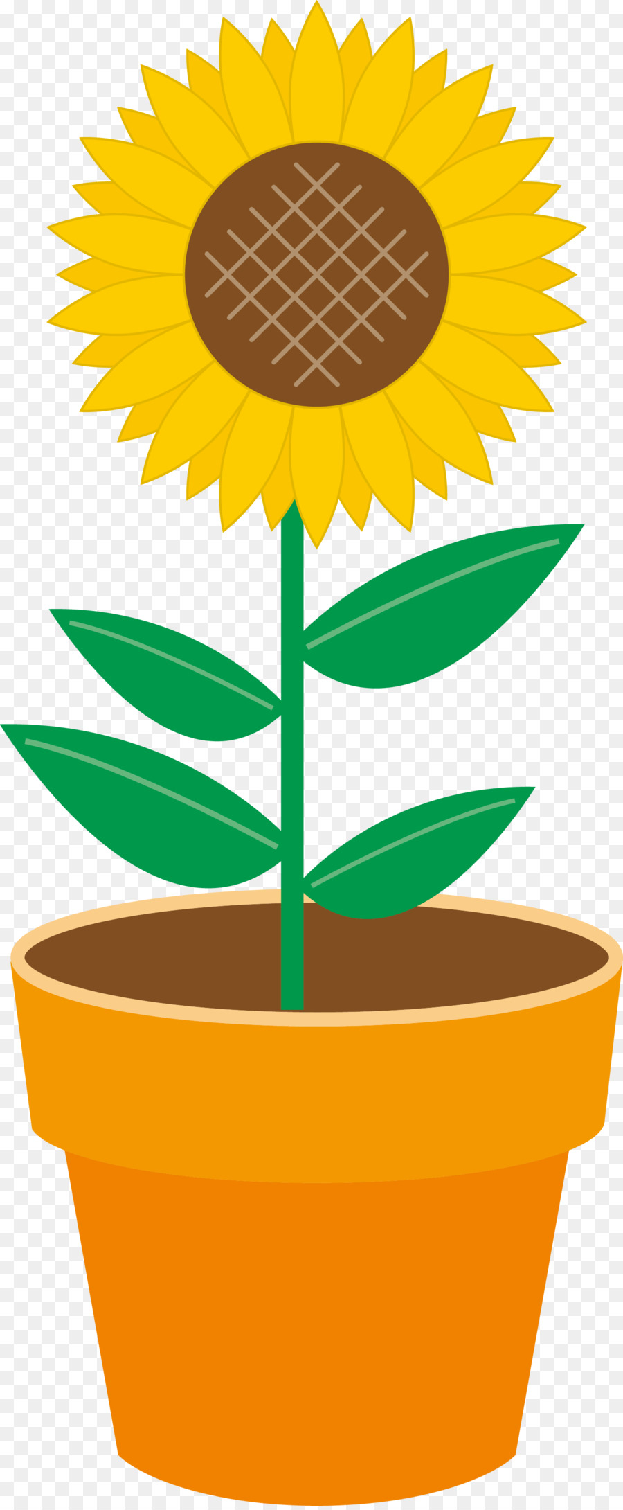 Tournesol，Flowerpot PNG