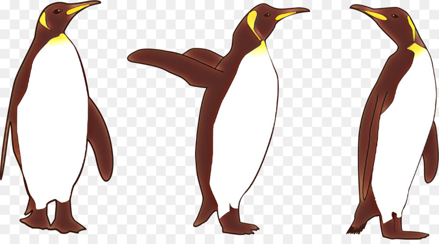Oiseau，Pingouin PNG