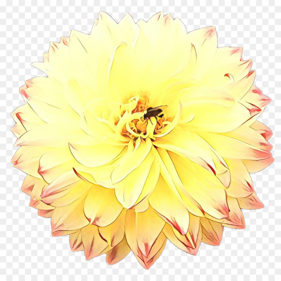 Fleur Jaune，Fleurir PNG