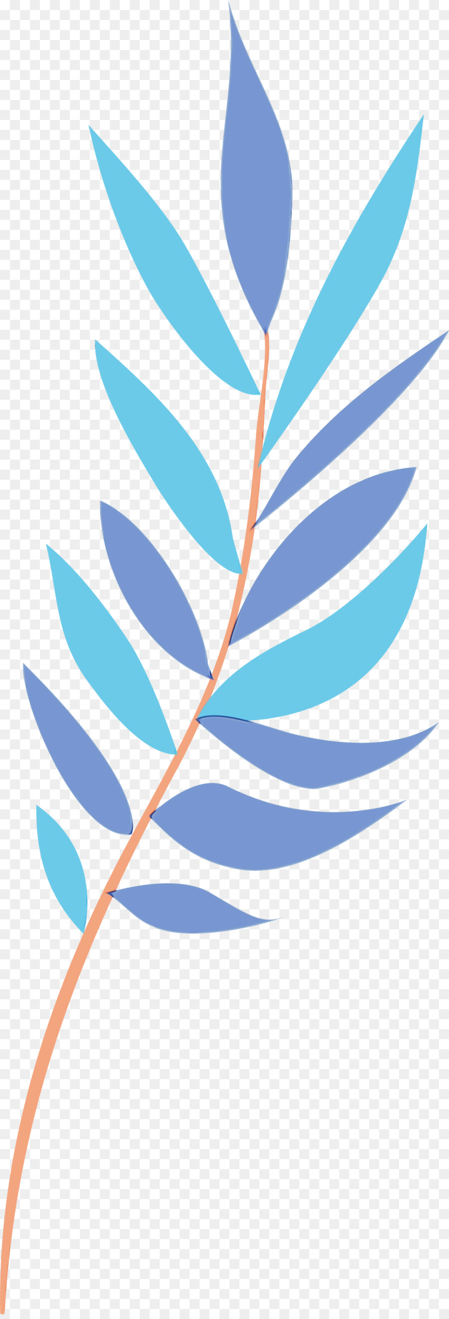 Feuille，Ligne PNG