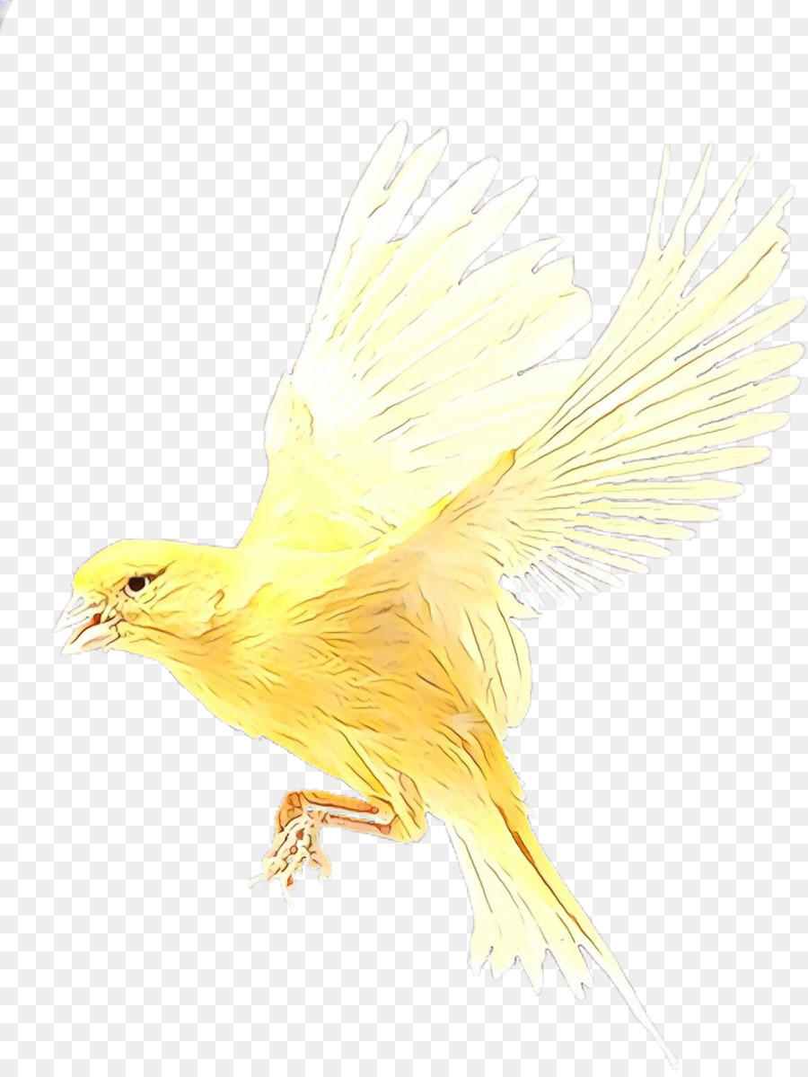 Oiseau Jaune，Vol PNG