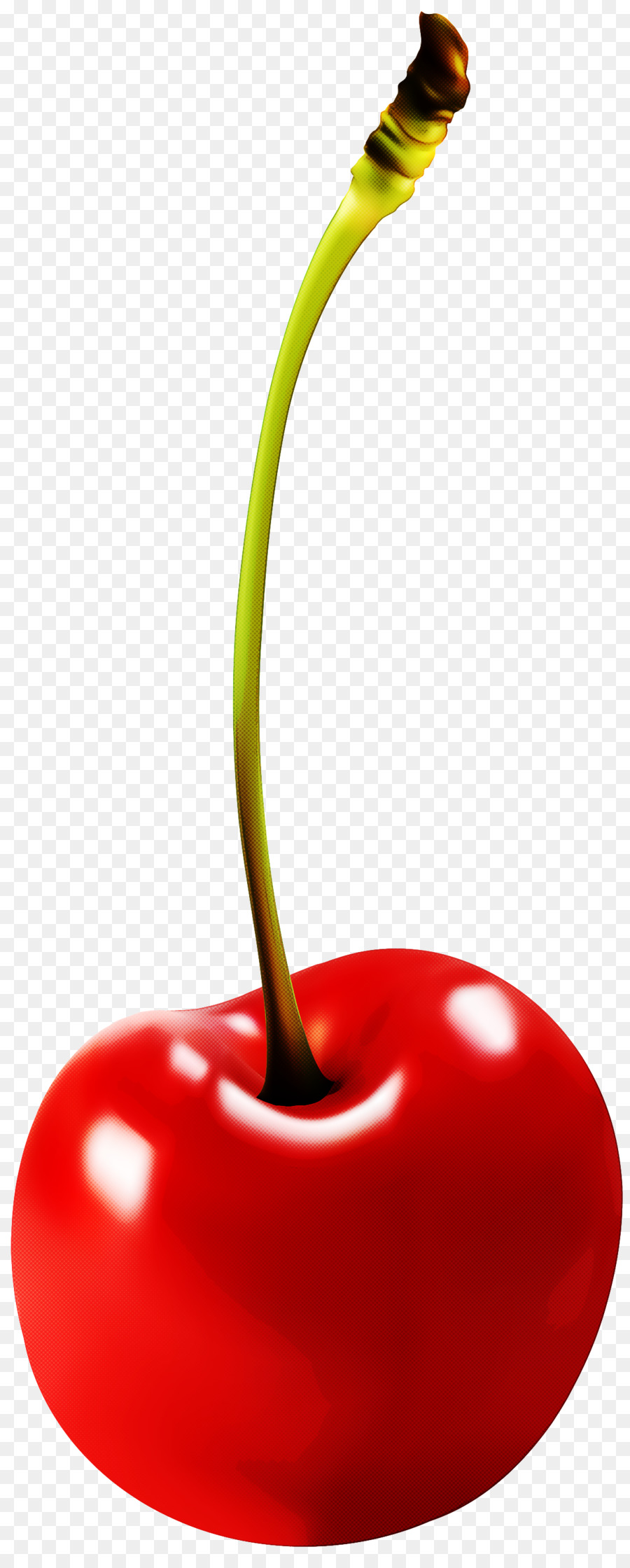 Cerise，Fruit PNG