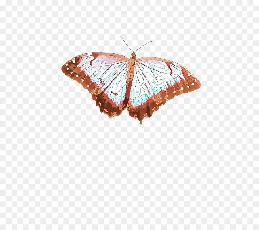 Papillon，Ailes PNG