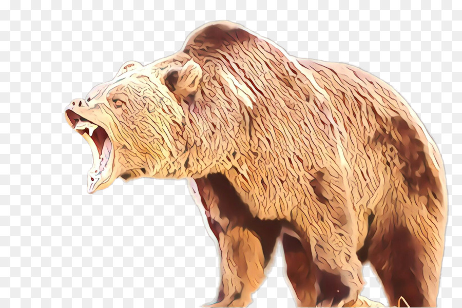 Grizzli，Ours PNG