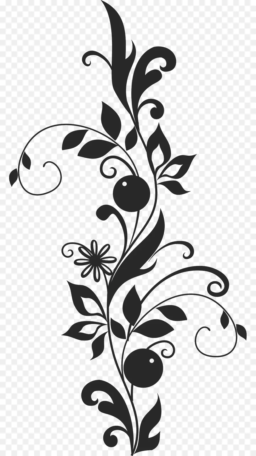 Conception Florale，Fleurs PNG