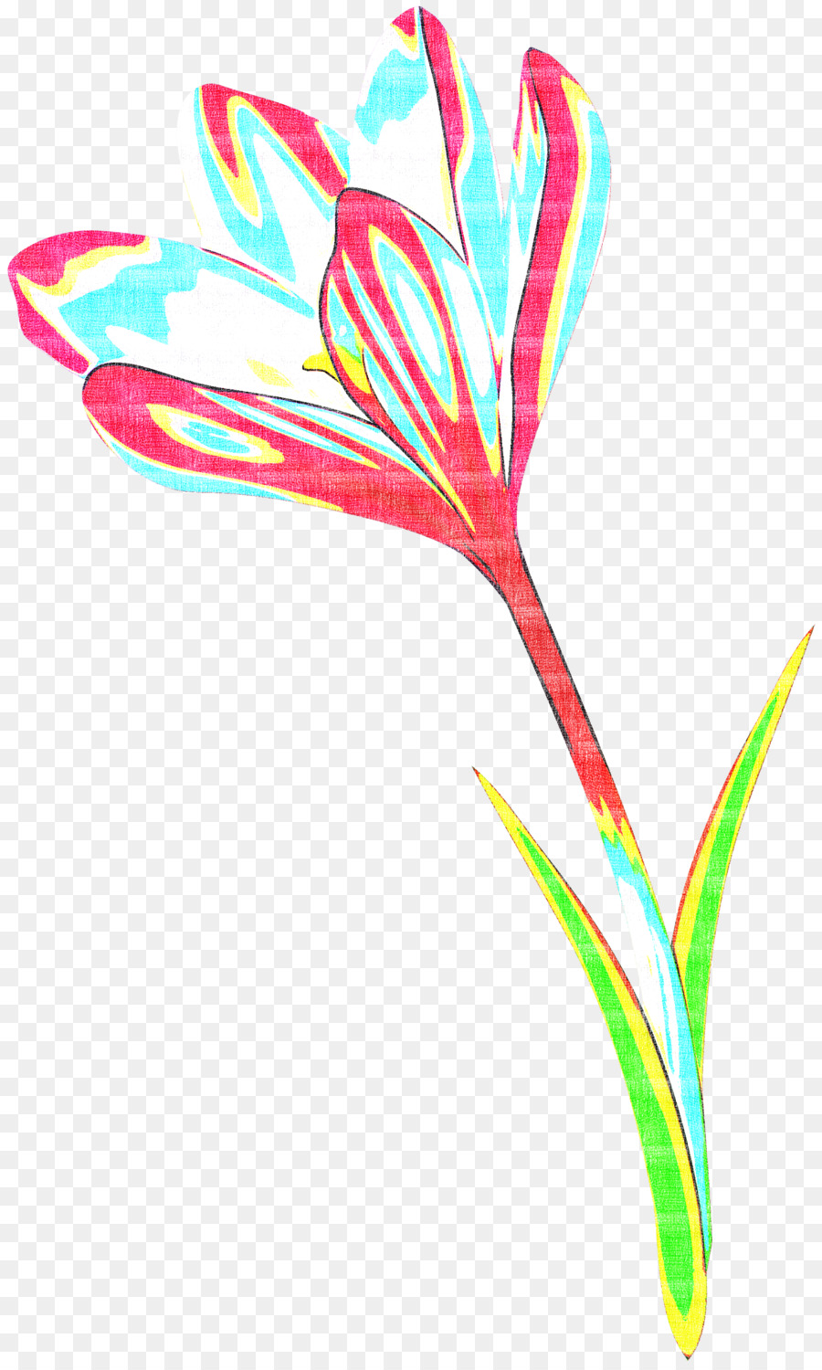 Plante，Fleur PNG