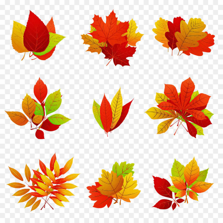 Feuilles，Automne PNG