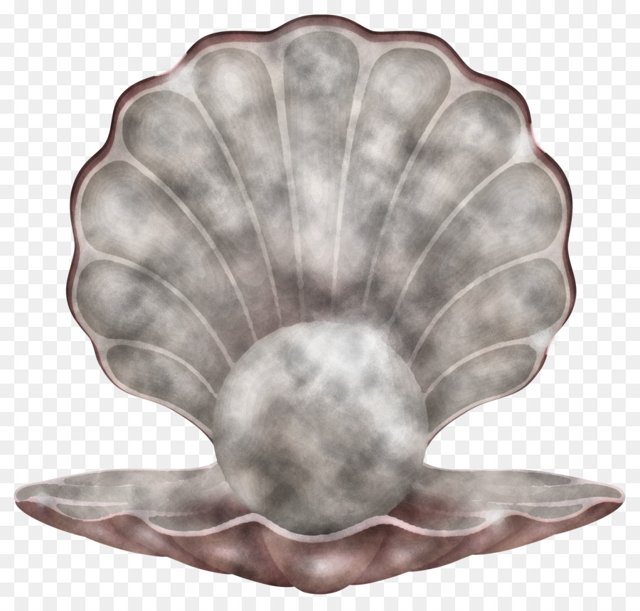 Coquille Ouverte，Perles PNG