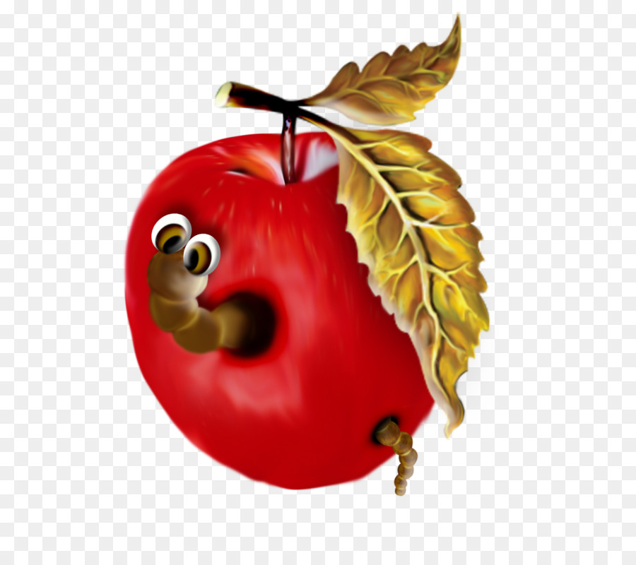 Rouge，Fruits PNG