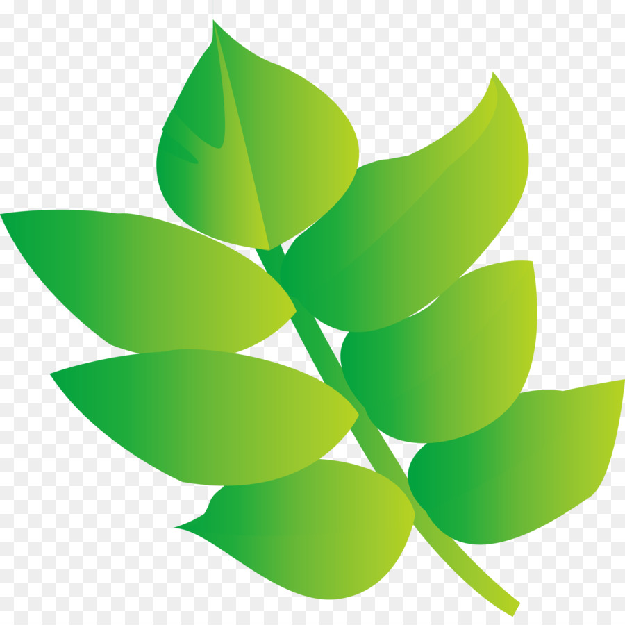 Feuilles Vertes，Usine PNG