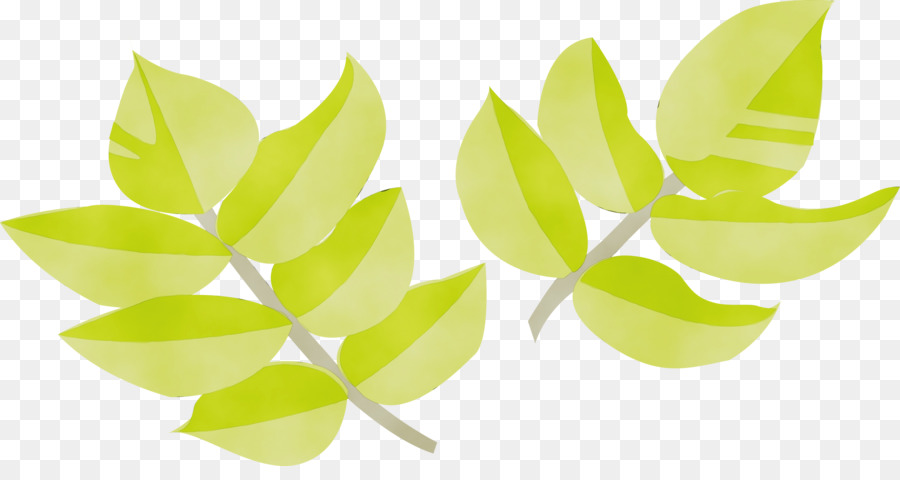 Feuille，Vert PNG