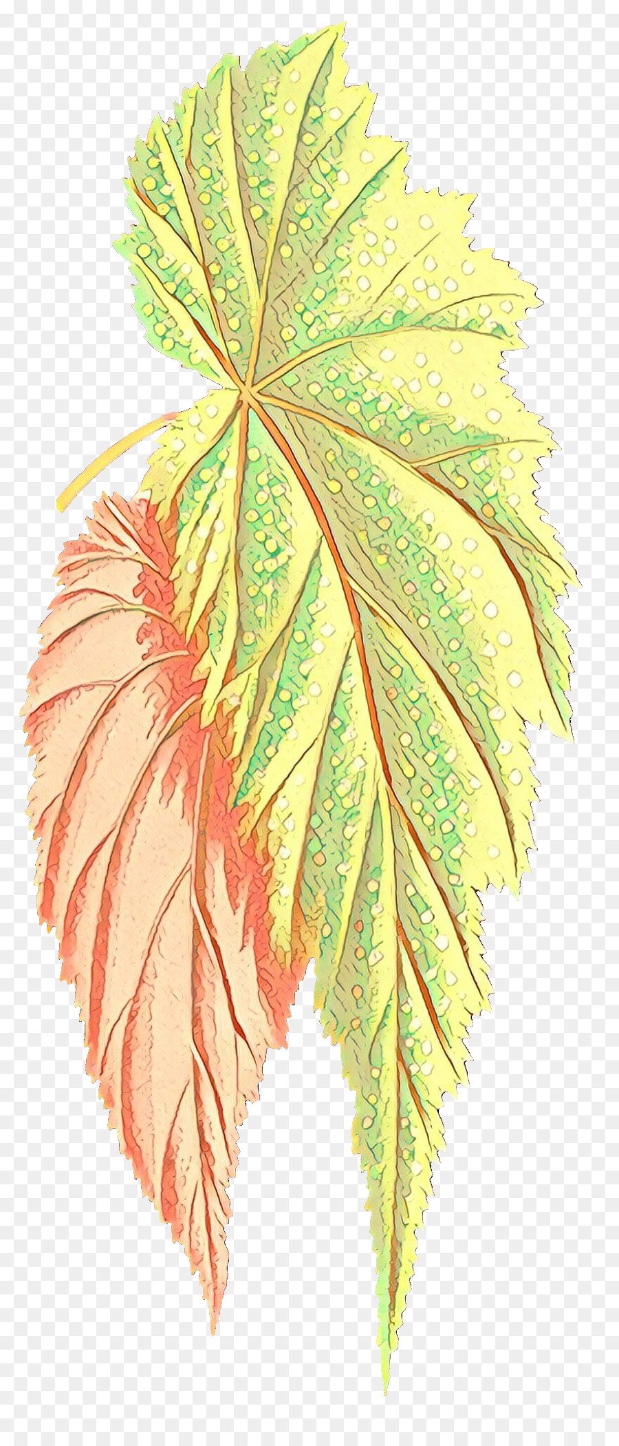 Feuille，Arbre PNG