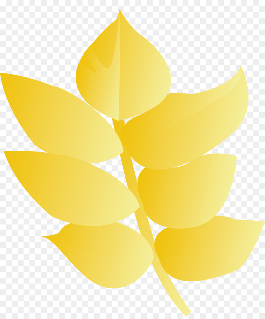 Jaune，Feuille PNG