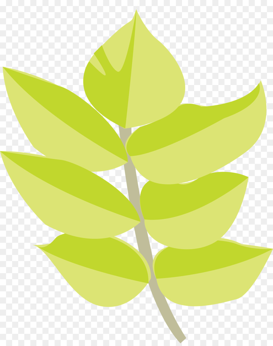 Feuille，Usine PNG