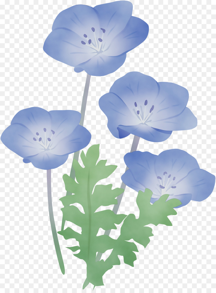 Fleur，Bleu PNG