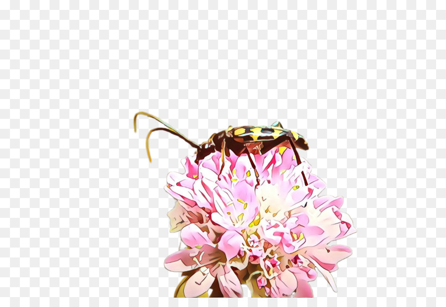 Insecte Sur Fleur，Bogue PNG